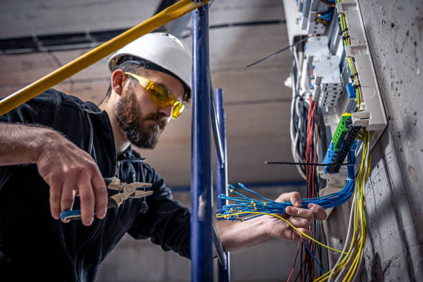 Best Licensed Electrician  in Petersburg, MI