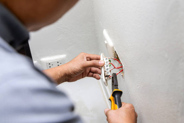 Best Electrical Outlet Repair  in Petersburg, MI
