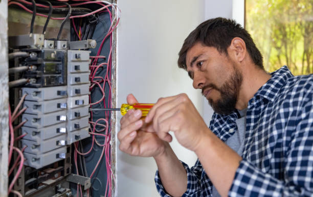 Best Industrial Electrical Services  in Petersburg, MI